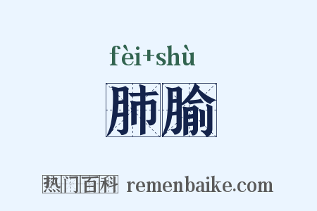 肺腧是什么意思的图片
